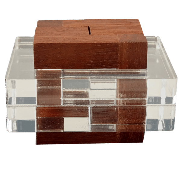 From the International Puzzle Party 35, Ottawa, Canada