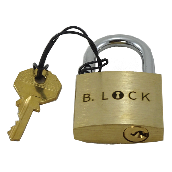 puzzle with locks and latches